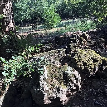 Le Quattro Stagioni Teano